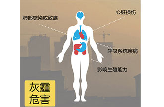 空氣中PM2.5 是由什么物質(zhì)組成的？